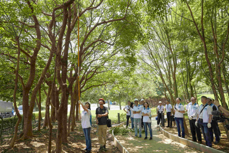藝師教導大家認識樹木、檢查樹的健康狀況，學習修枝及碎枝覆土